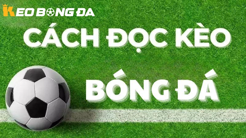 Cách đọc Kèo Bóng Đá Chuẩn Xác cho người chơi