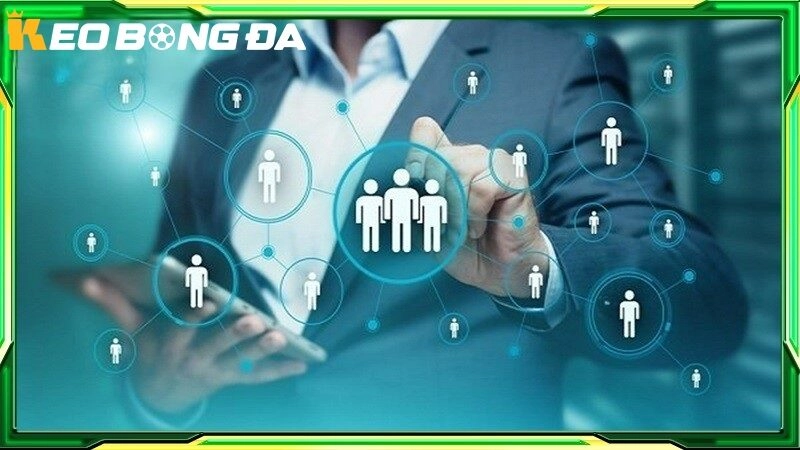 Đội ngũ chuyên gia soi kèo giàu kinh nghiệm tại kèo bóng đá