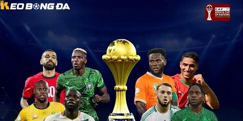 Tin Tức AFCON 2026 – Cập Nhật Lịch Thi Đấu, Kết Quả Và Soi Kèo Mới Nhất